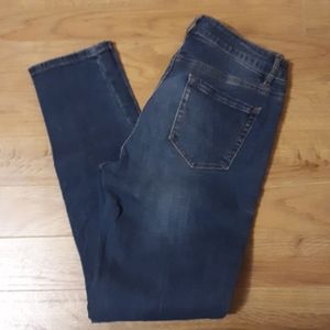 Canyon River Blues Size 10 Jeans